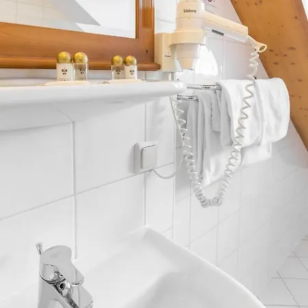 Garni Noeserlgut Linz